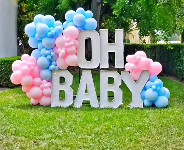 simply-package-for-gender-reveal-jessicasmithdecorations.com Simply Package